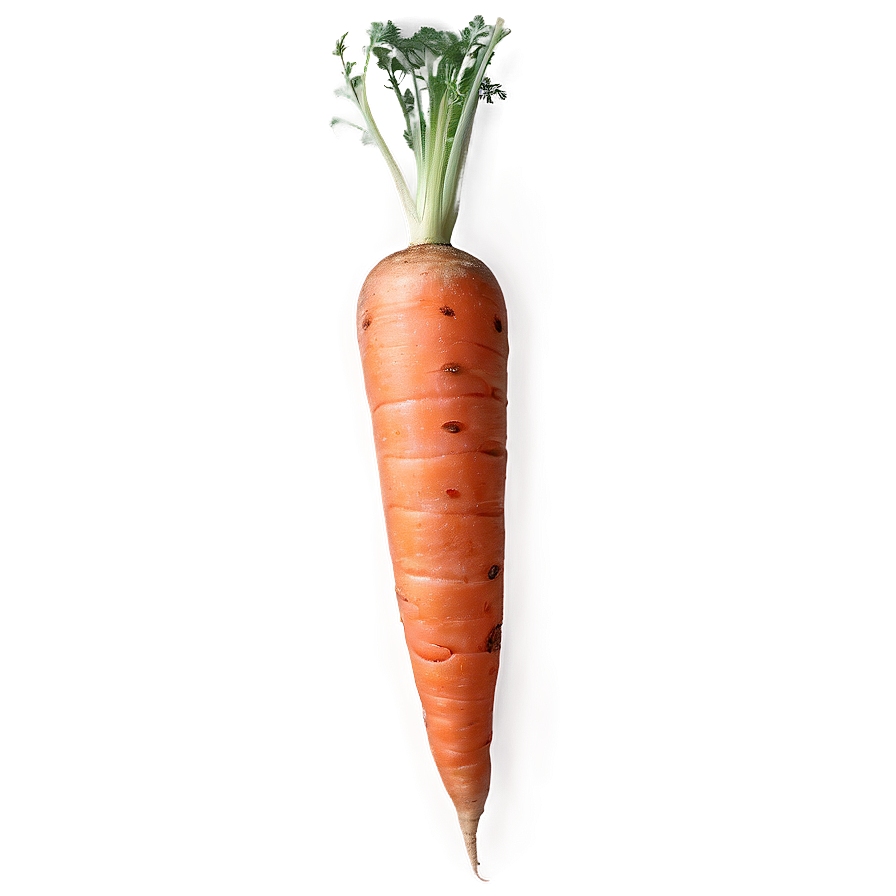 Raw Carrot Png 11 PNG