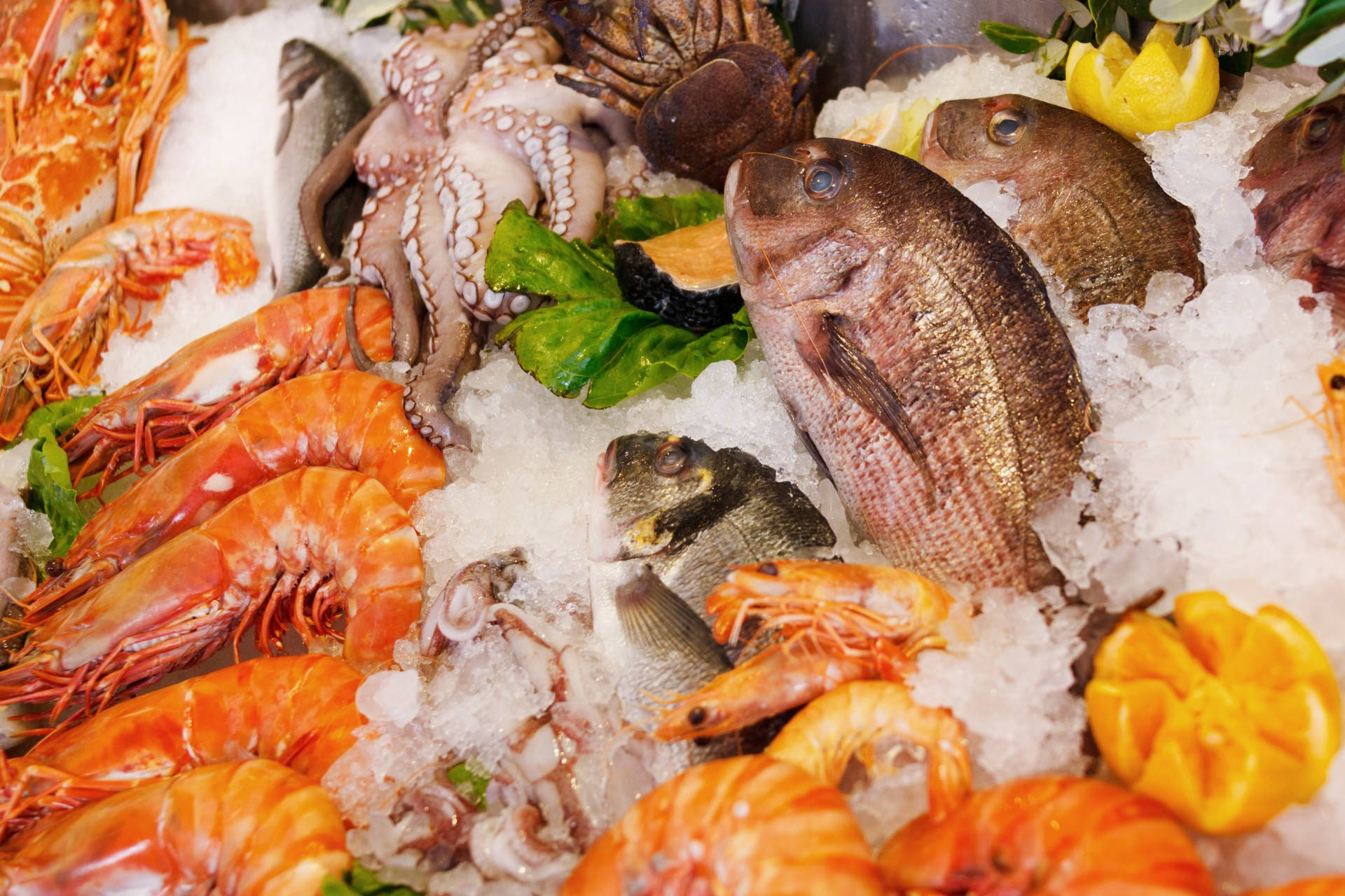 Raw Seafood Ingredients Wallpaper