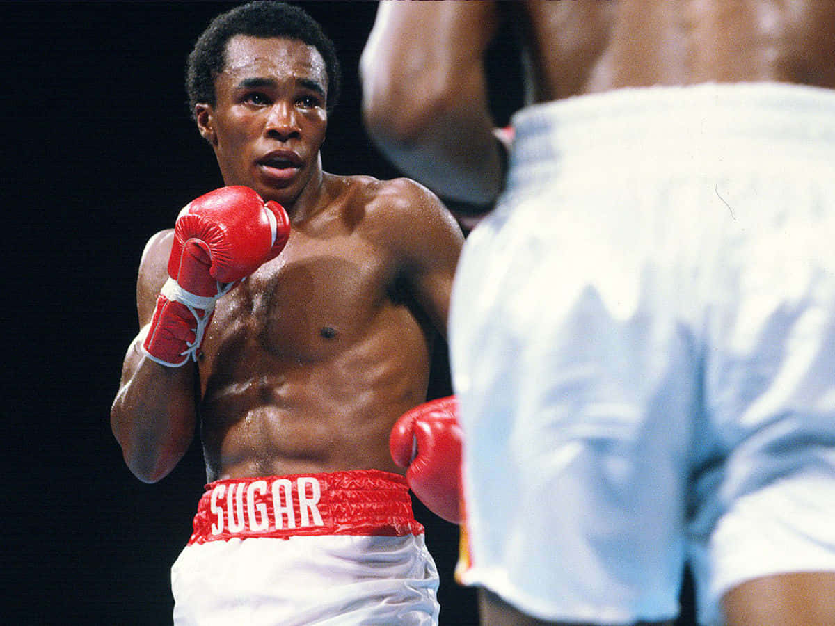 Ray Leonard Sizing Up His Foe In Ring Wallpaper