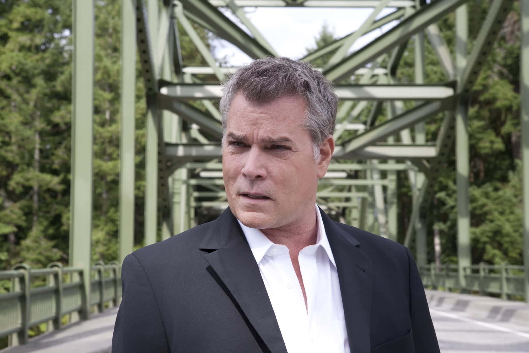 Indrukwekkend Portret Van Ray Liotta Achtergrond