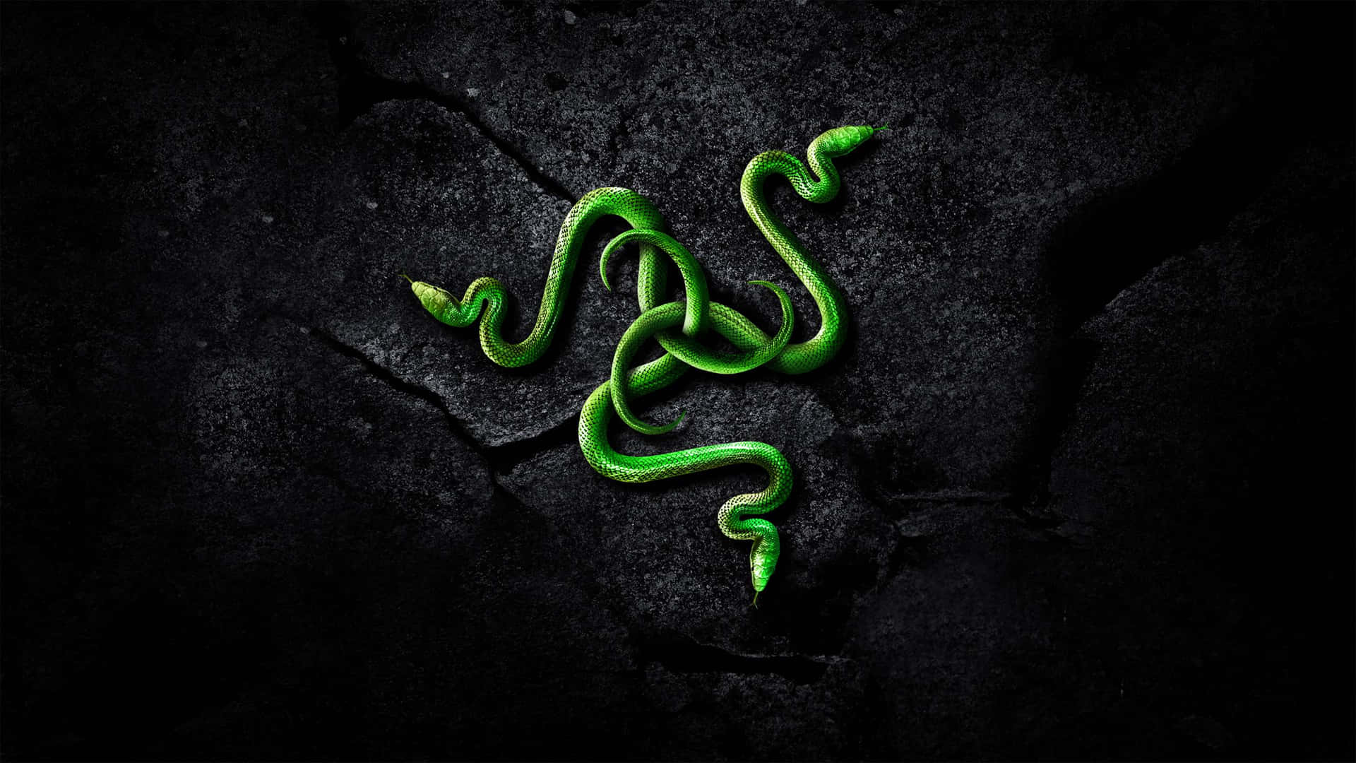 Get your game on with Razer