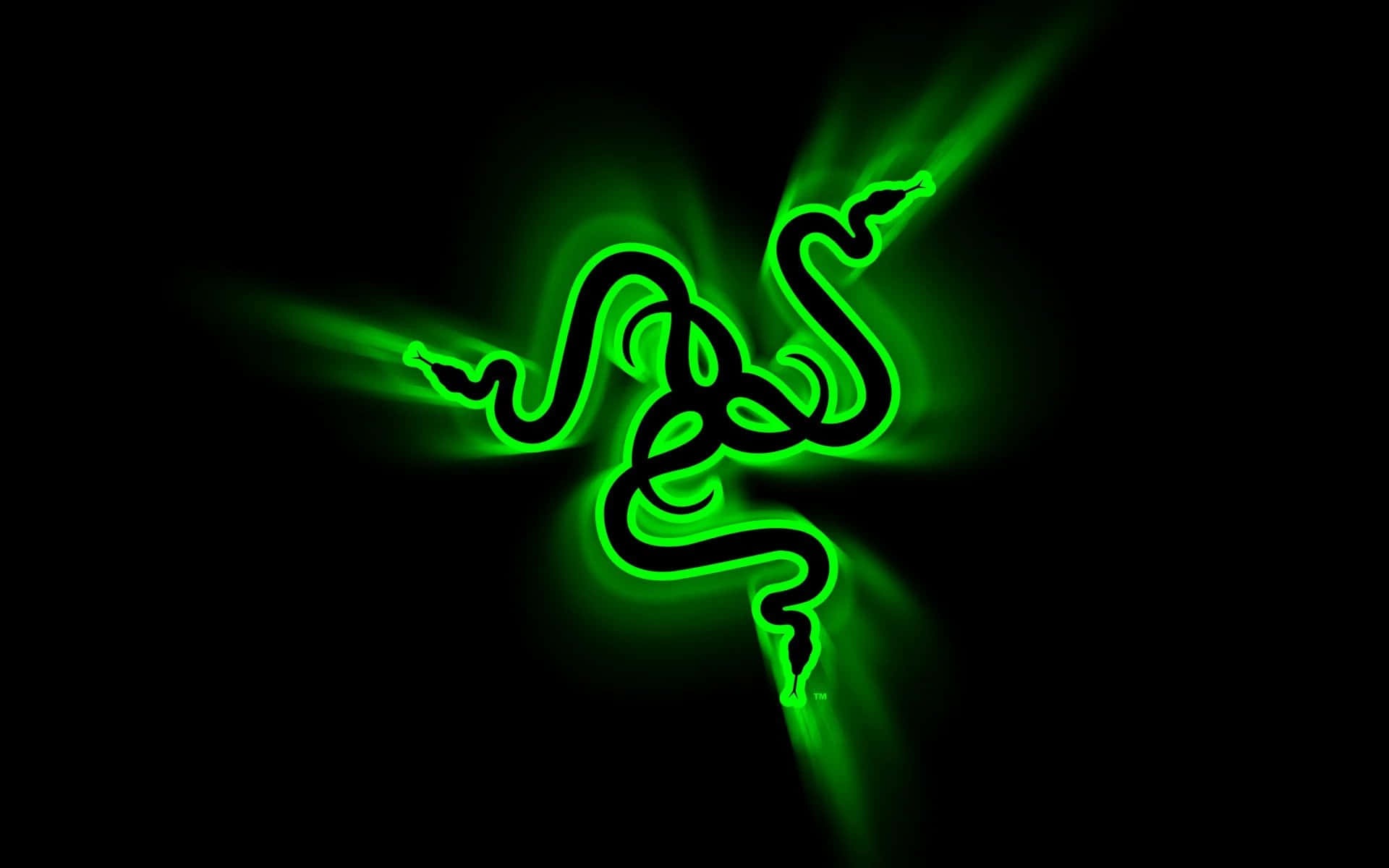 Razer Logo On A Black Background