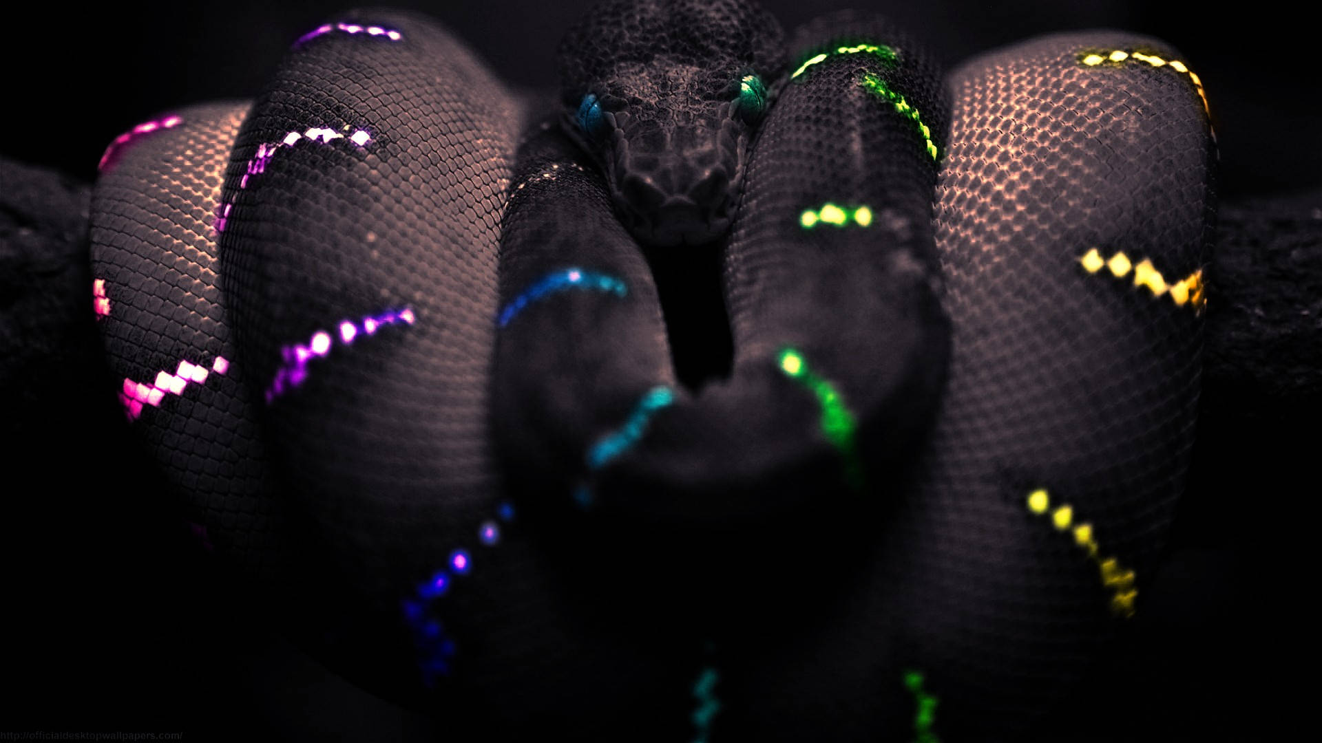 Razer Snake In Neon 4k Wallpaper