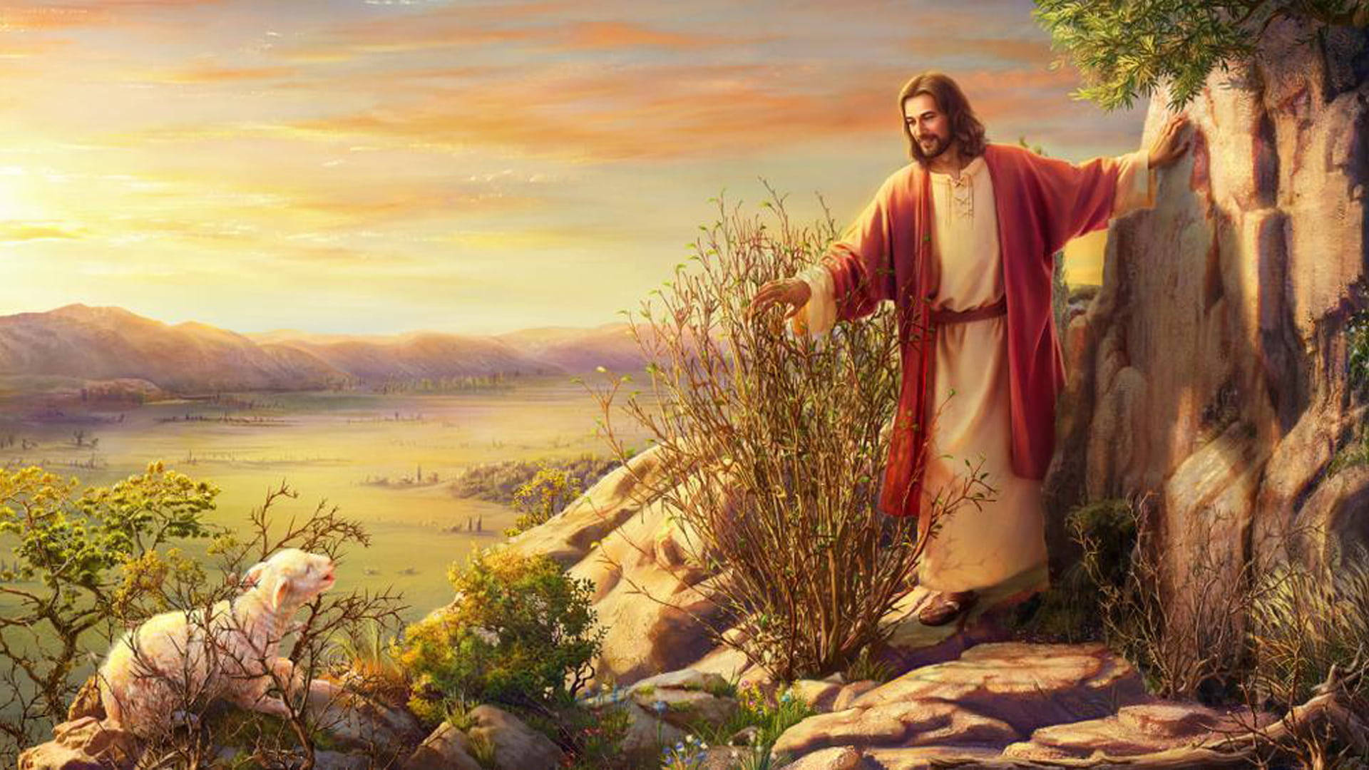 Reaching A Lamb Jesus Desktop Wallpaper