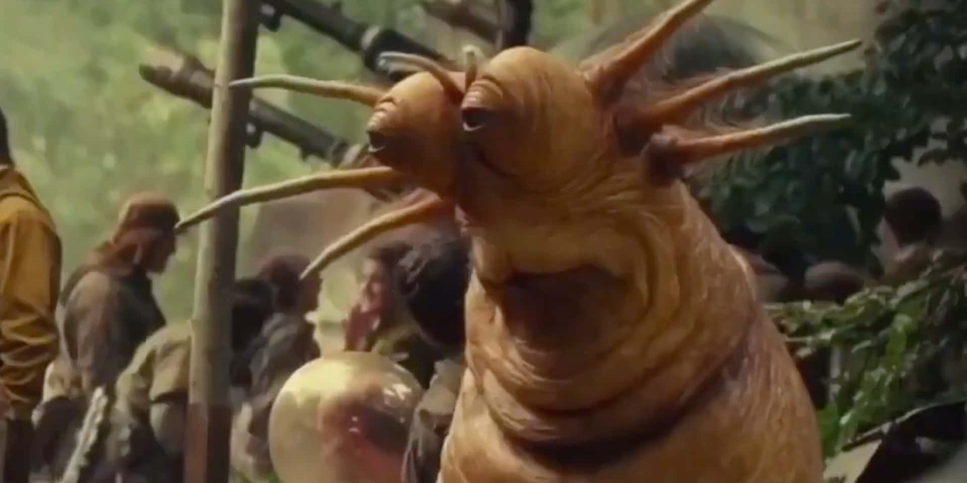 A Star Wars Worm With Long Hair Standing In Front Of People