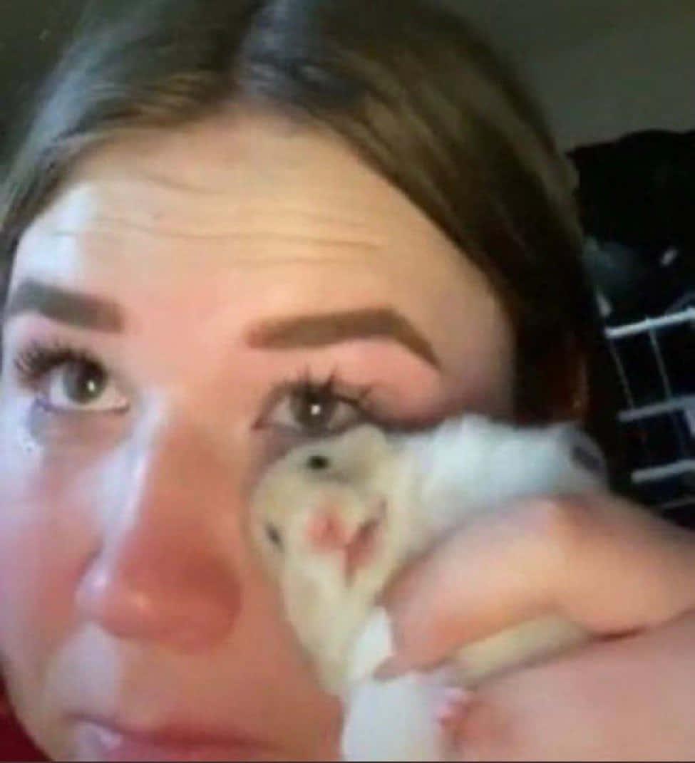 A Woman Holding A Hamster In Her Hands