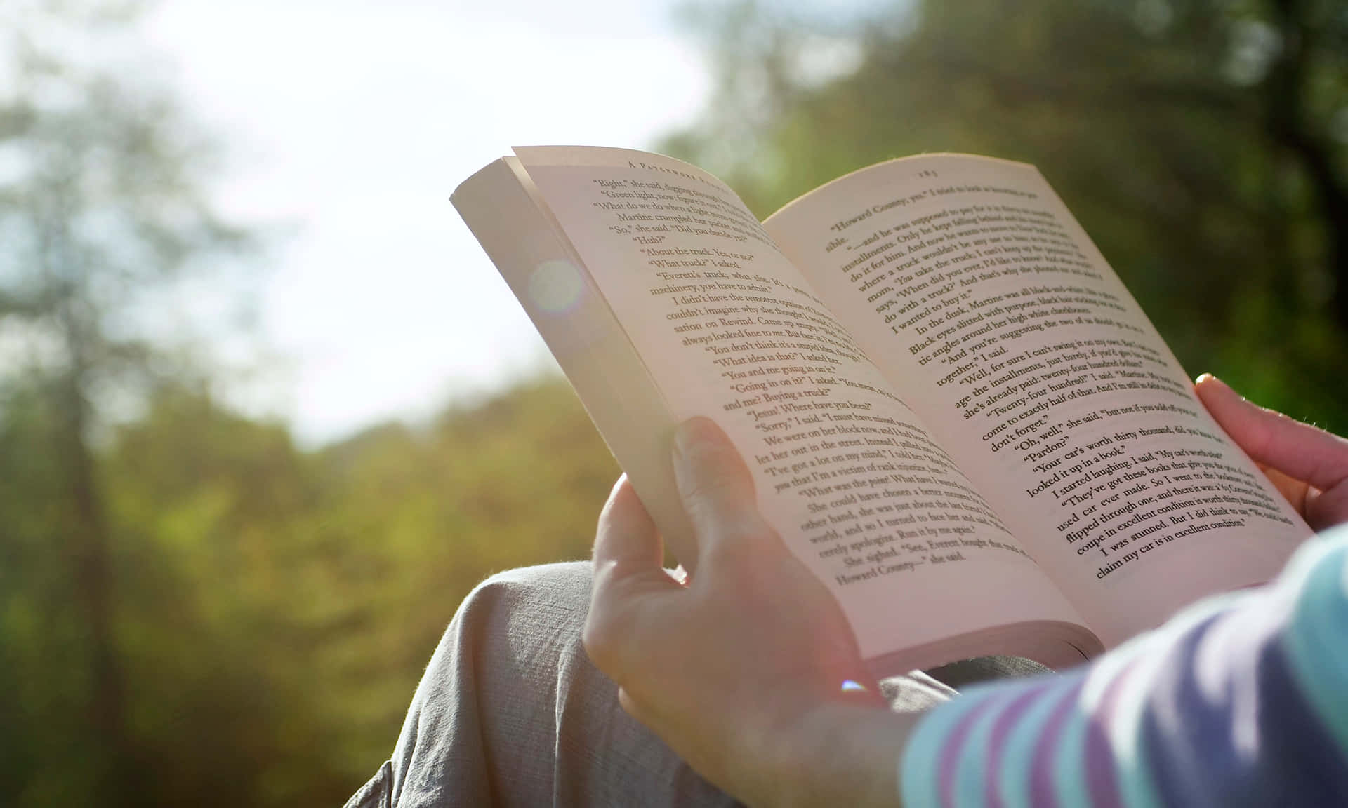 Enkvinde Læser En Bog I Solen.