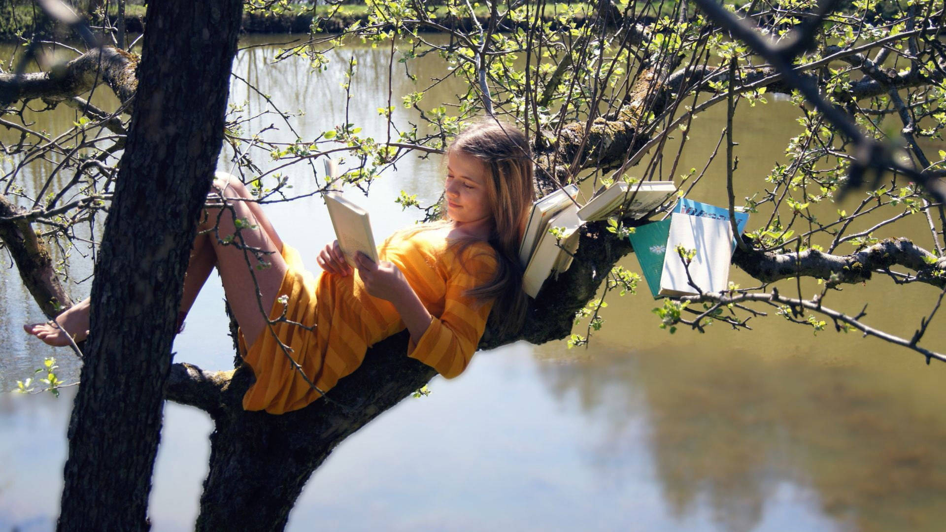 Reading Woman On Tree Wallpaper