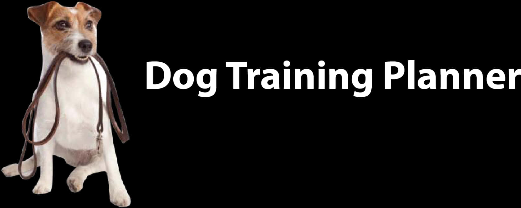 Readyfor Training Dogwith Leash PNG