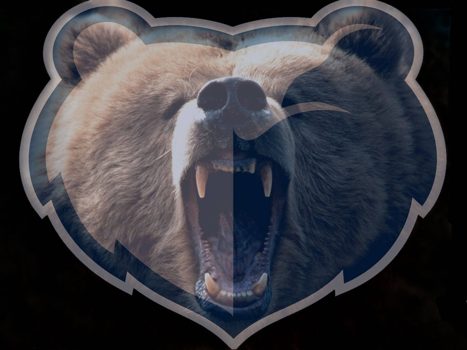 Real Bear For Nba Memphis Grizzlies Logo Wallpaper