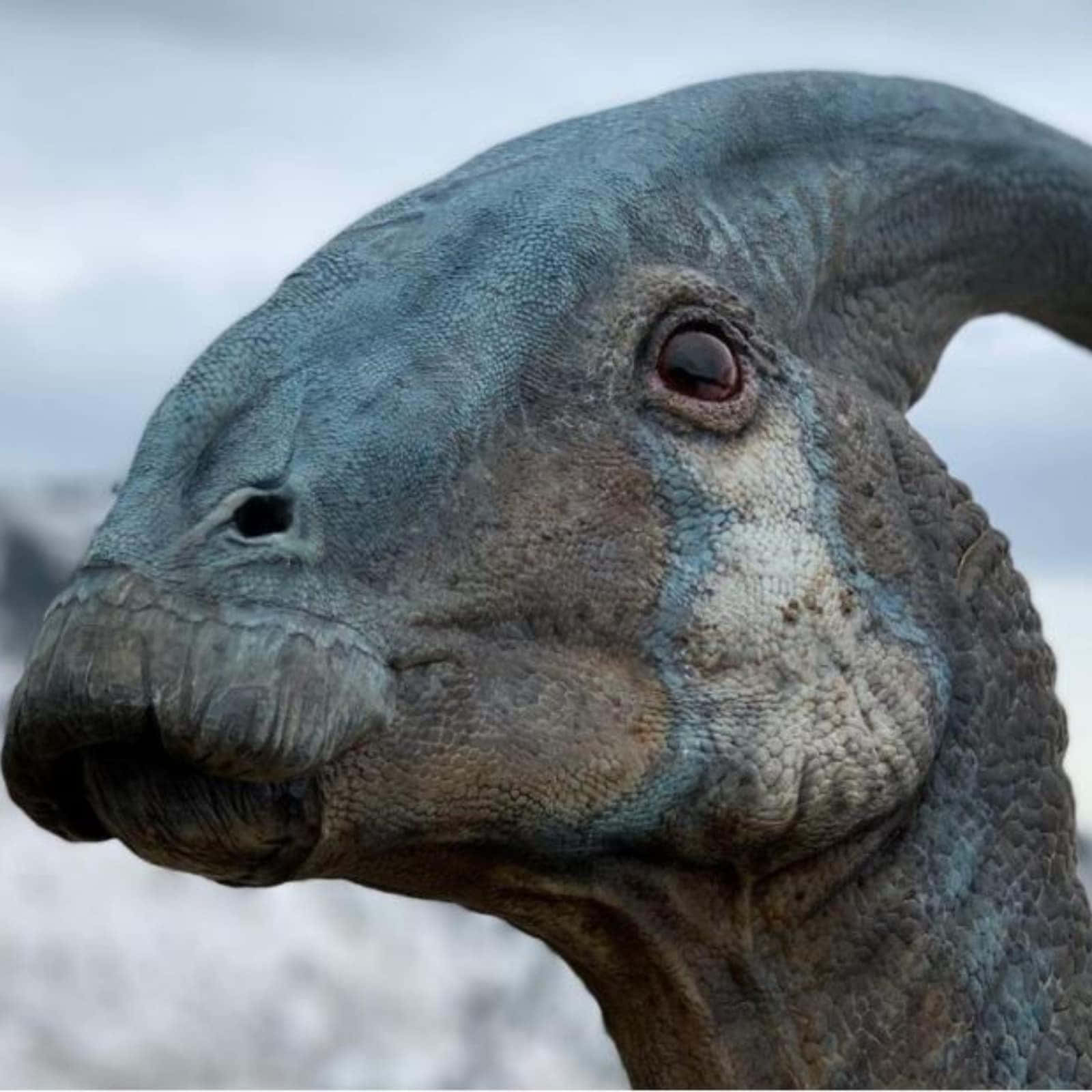 En dinosaur med lange horn og en blå baggrund