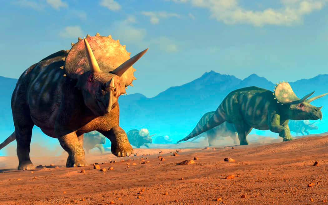 Triceratops - de dinosaurer fra fortiden er klar til at gøre et fremtrædende indtryk på dit skrivebord.