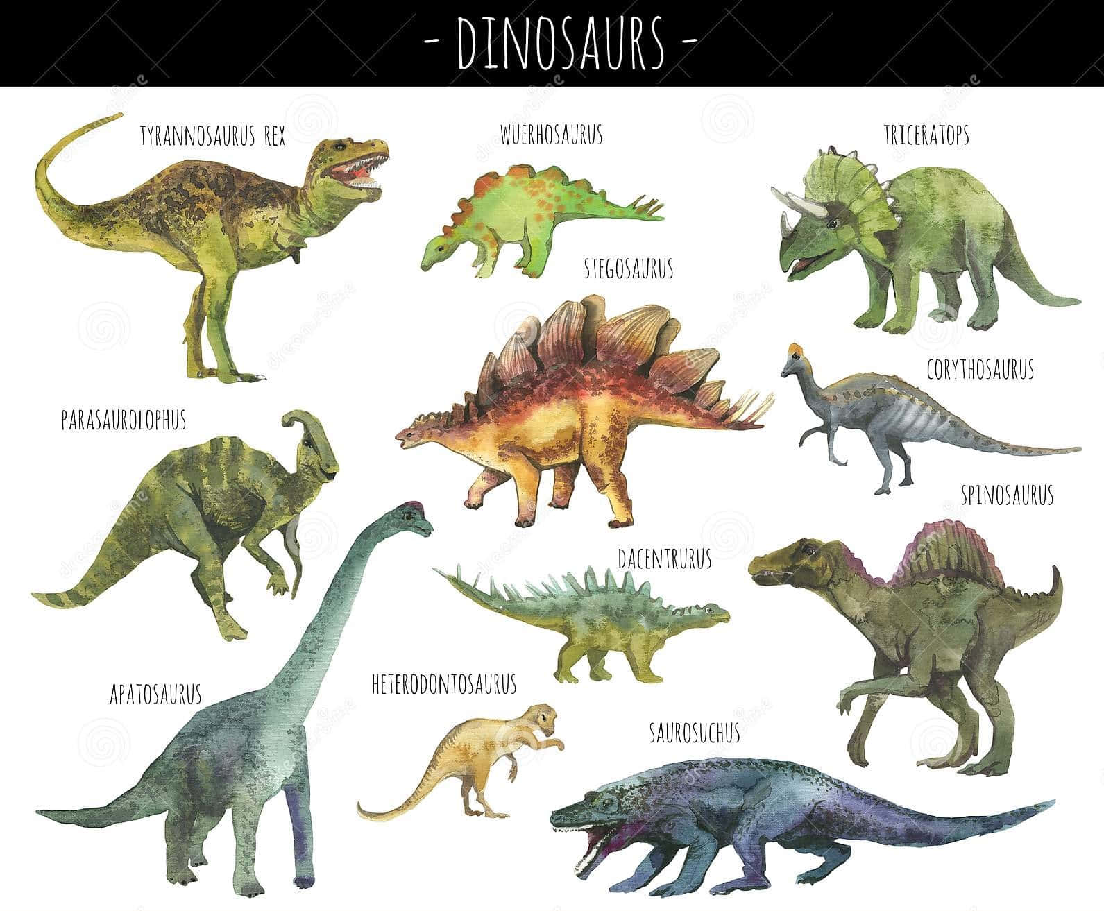 Vattenfärgsdinosaurieri Olika Typer. (this Would Be A Suitable Translation For A Computer Or Mobile Wallpaper Featuring A Watercolor Illustration Of Various Types Of Dinosaurs.)
