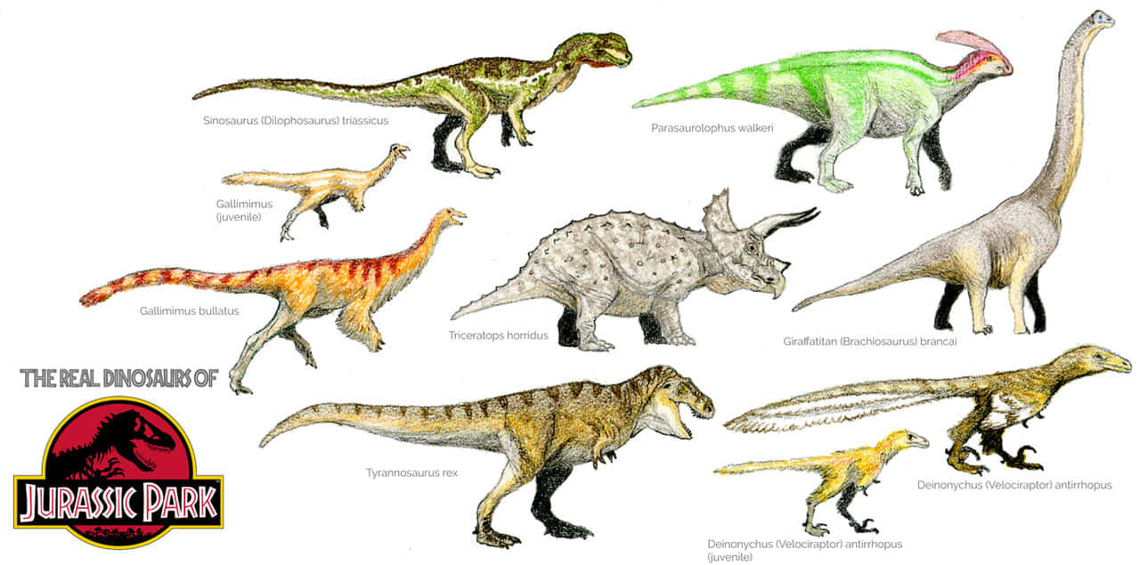 Jurassicpark Dinosaurer - En Affisch.