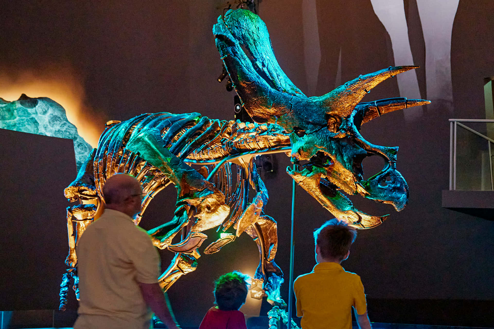 A Group Of Children Looking At A Dinosaur Skeleton