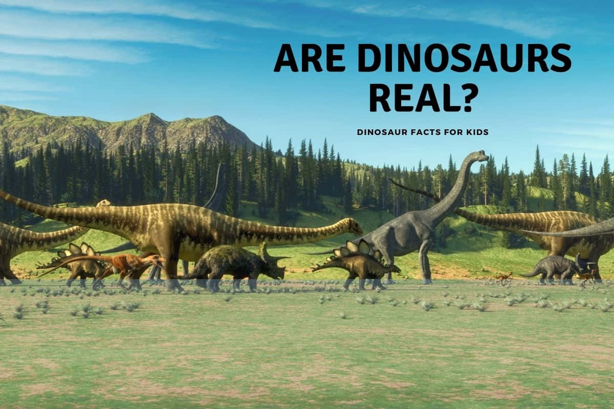Er dinosaurer virkelige?