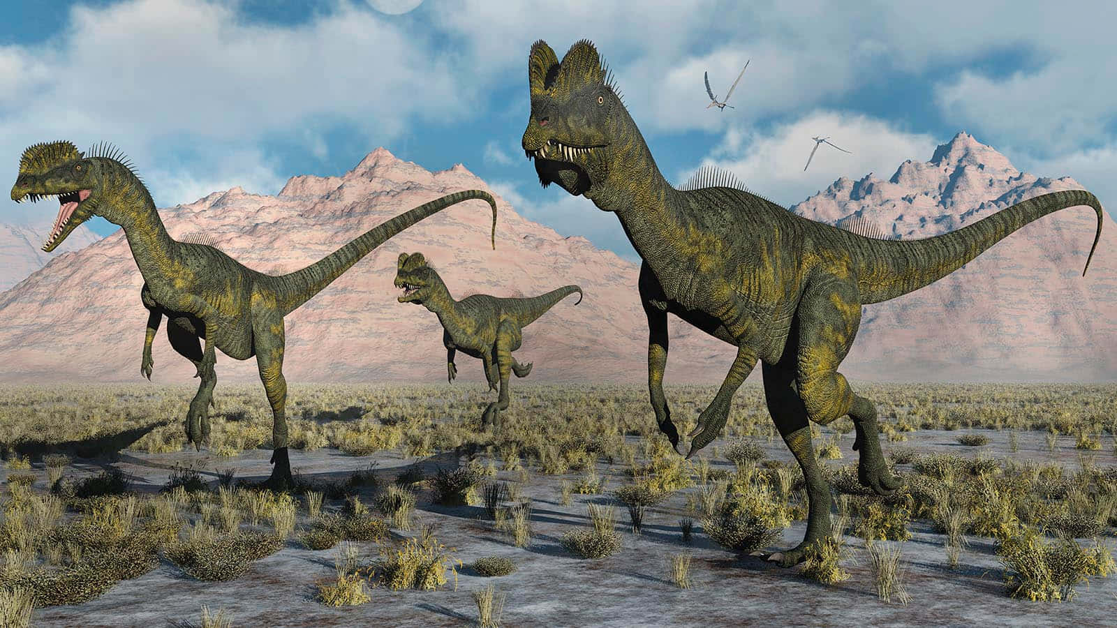a group of dinosaurs are walking in the desert