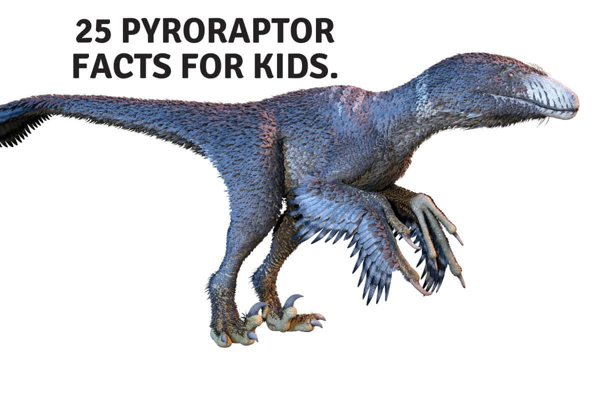 25 fakta om pterosaurier til børn