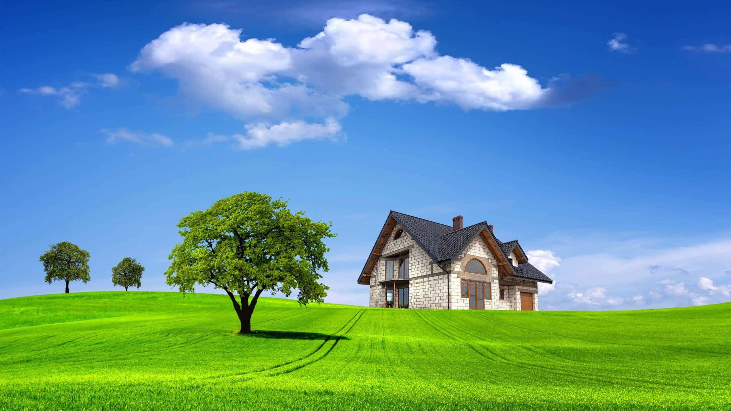 Einegrüne Wiese Mit Einem Haus Und Bäumen