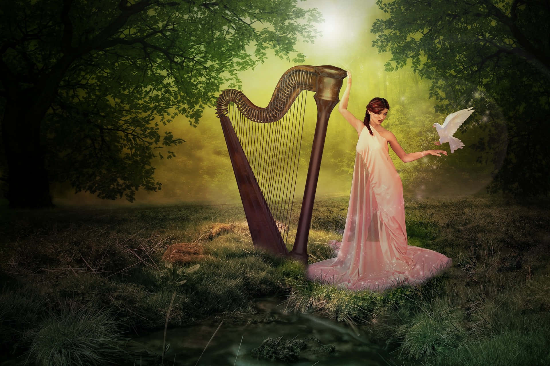 Real Fairy With Giant Harp Picture