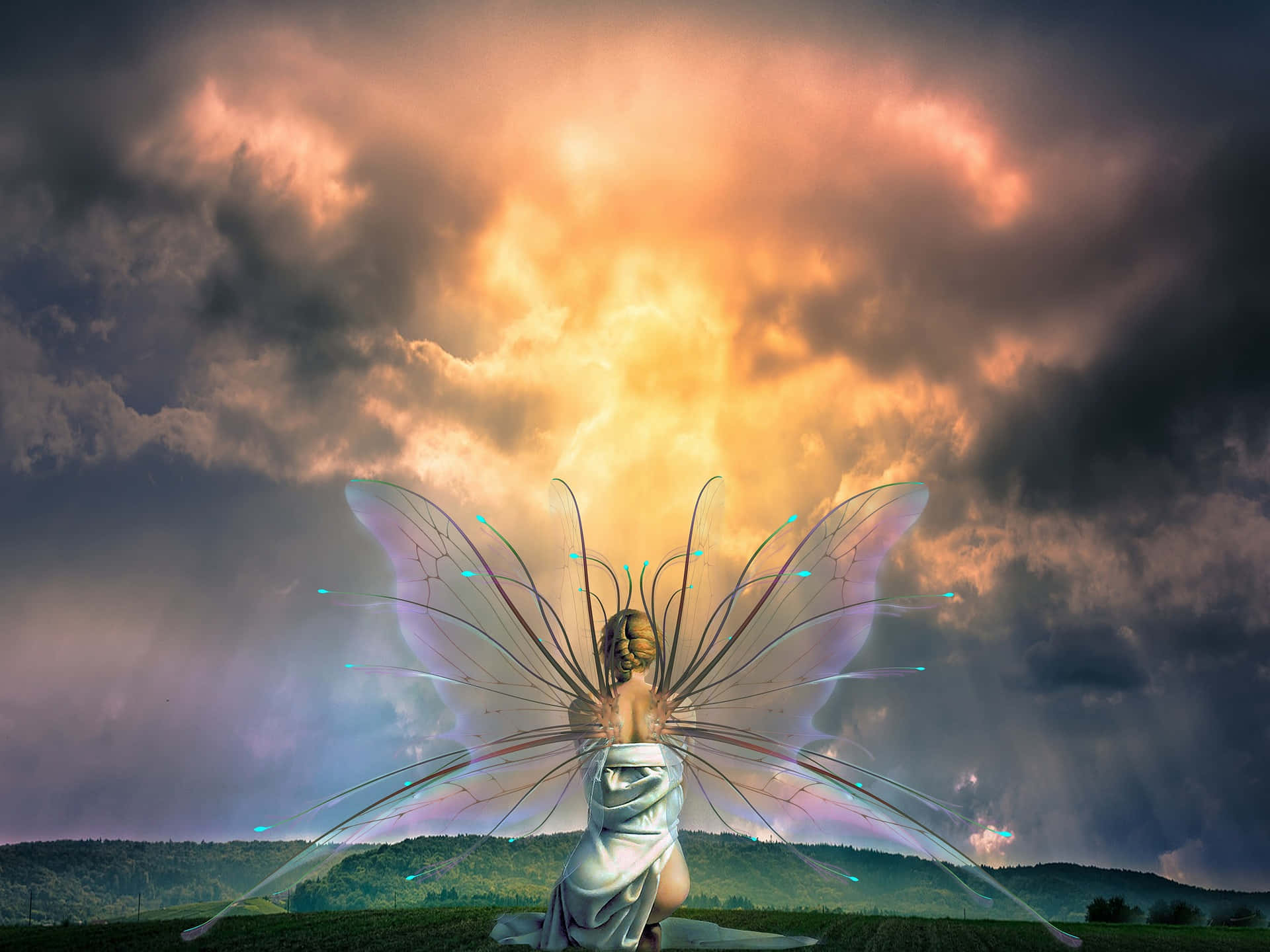 Real Fairy Against Sunset Sky Picture