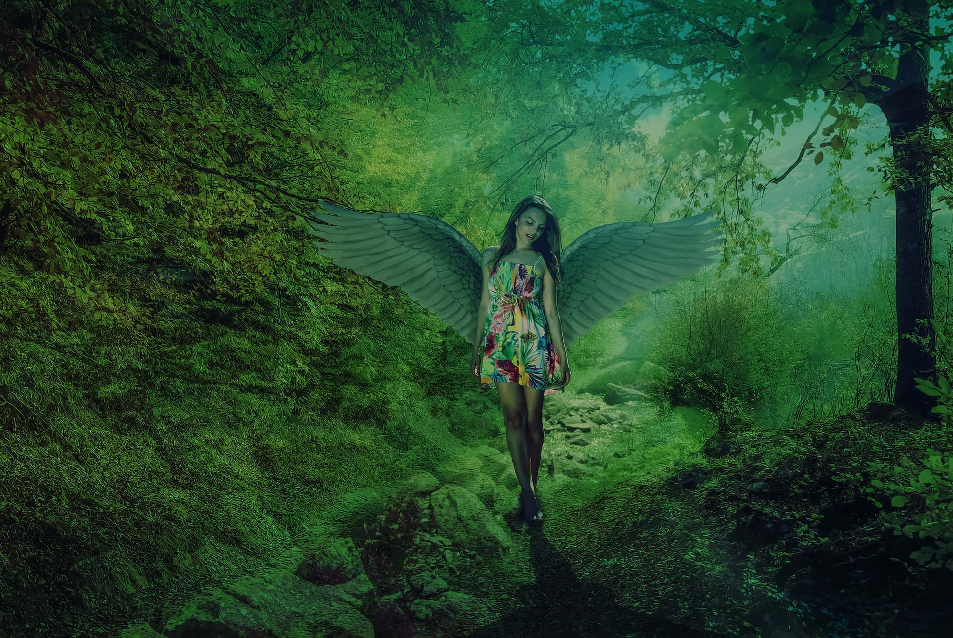Real Fairy Pictures