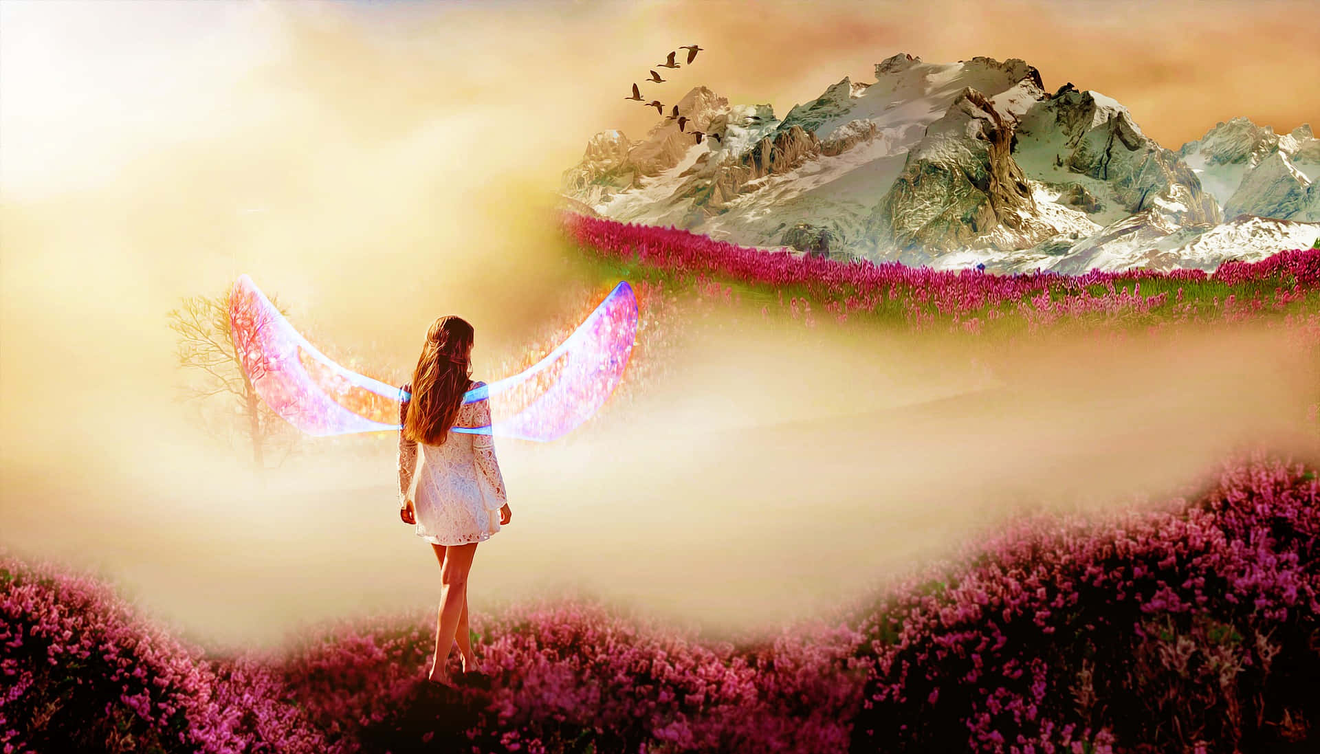 Real Fairy With Mountain View Picture