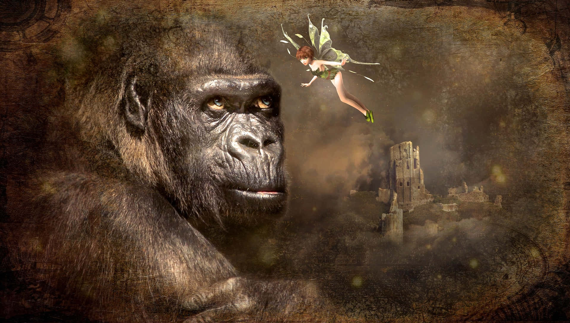 Real Fairy And Gorilla Picture