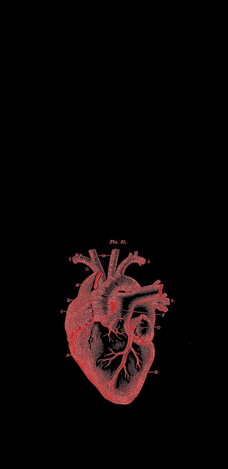 Real Heart Black Heart Iphone Wallpaper