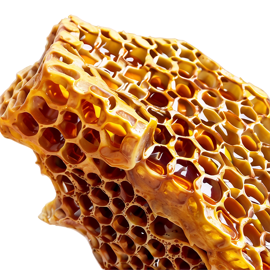 Real Honeycomb Image Png 05232024 PNG