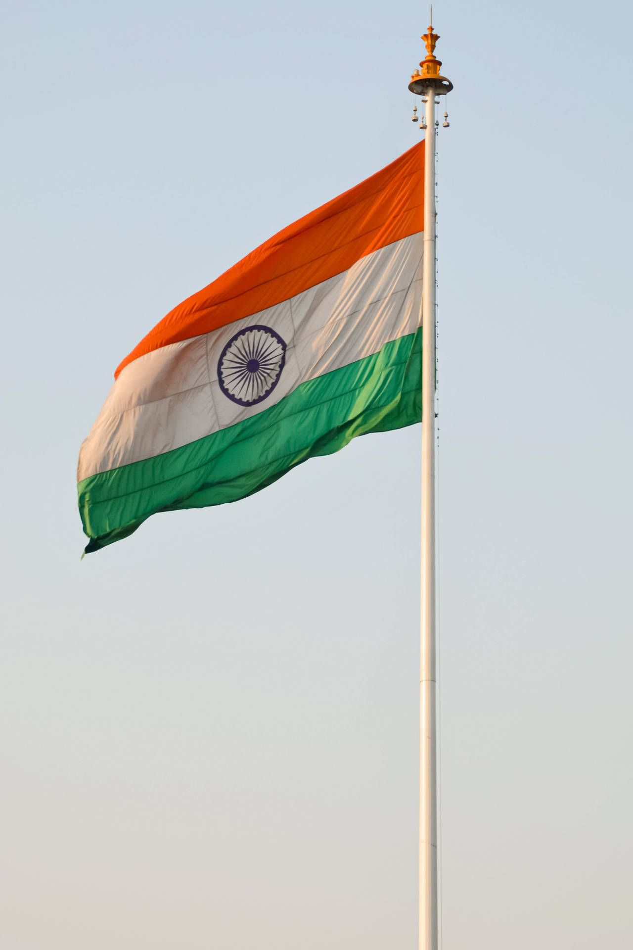 Real Indian Flag Hd In A Pole Background