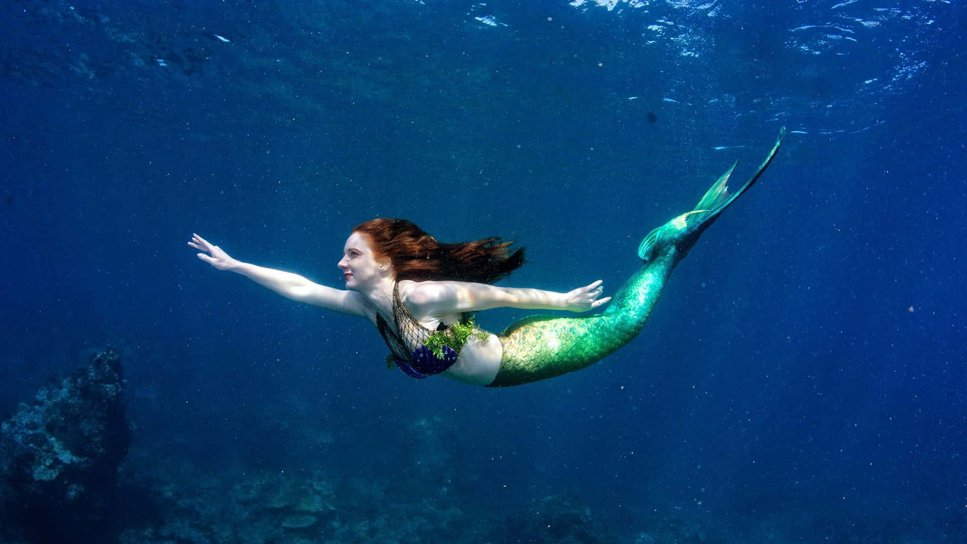"The Real Life Mermaid in all its beauty"