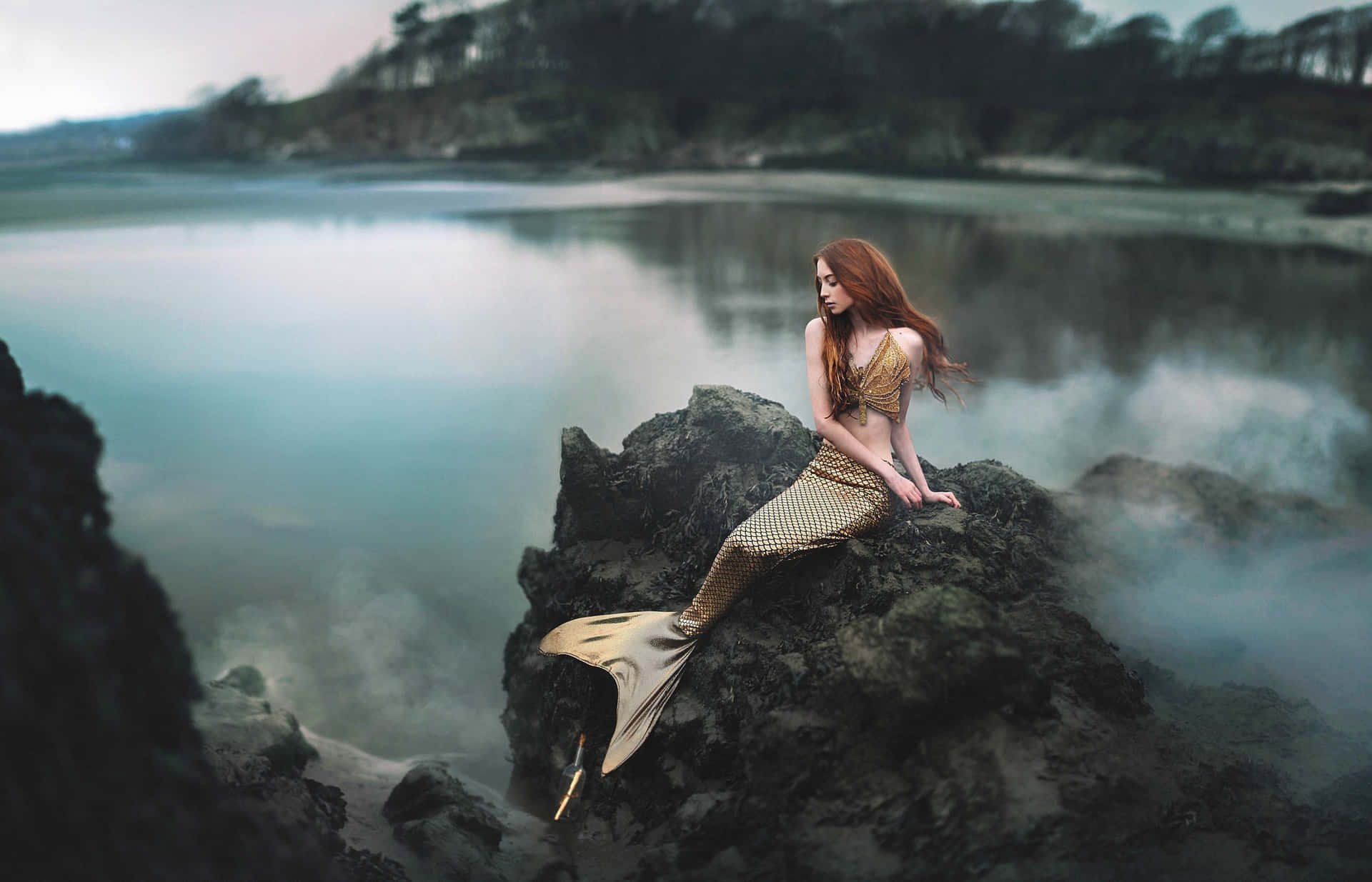 Dejaque Te Atrape La Magia Y Descubre Un Mundo De Fantasía Con Real Life Mermaid