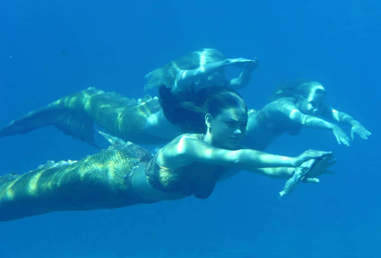 Taucheein In Die Magie Eines Unterwasserabenteuers Mit Einer Echten Meerjungfrau! Wallpaper