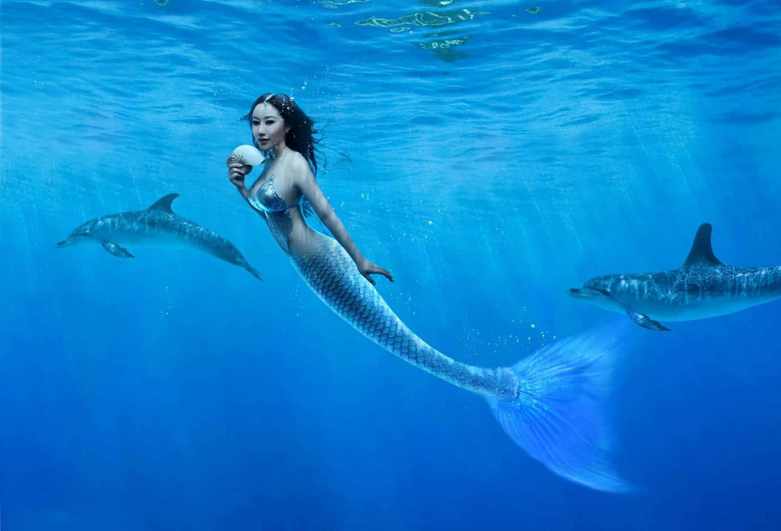 Svøm med rigtige havfrue i havet! Wallpaper