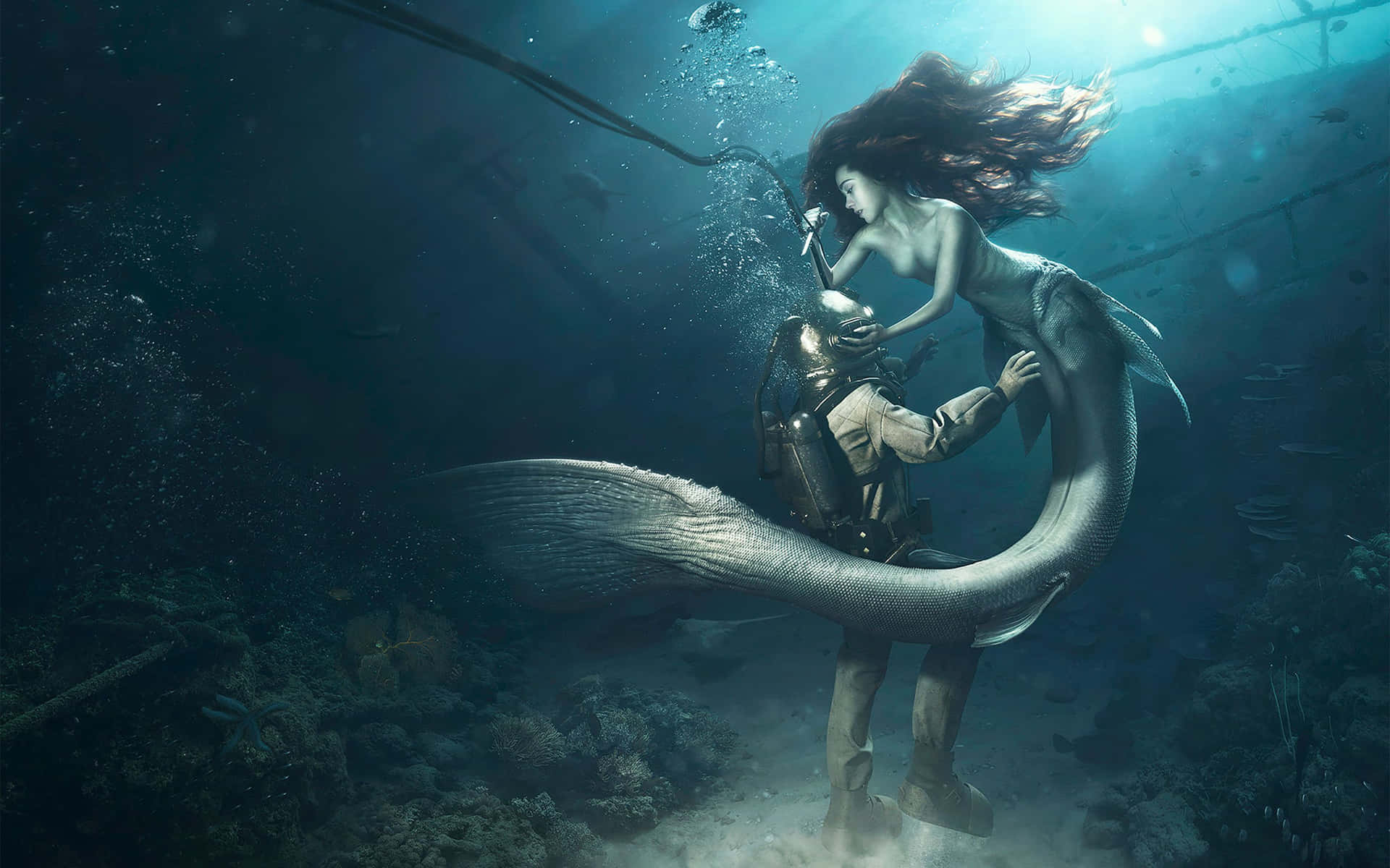 Real Mermaid With A Diver Wallpaper