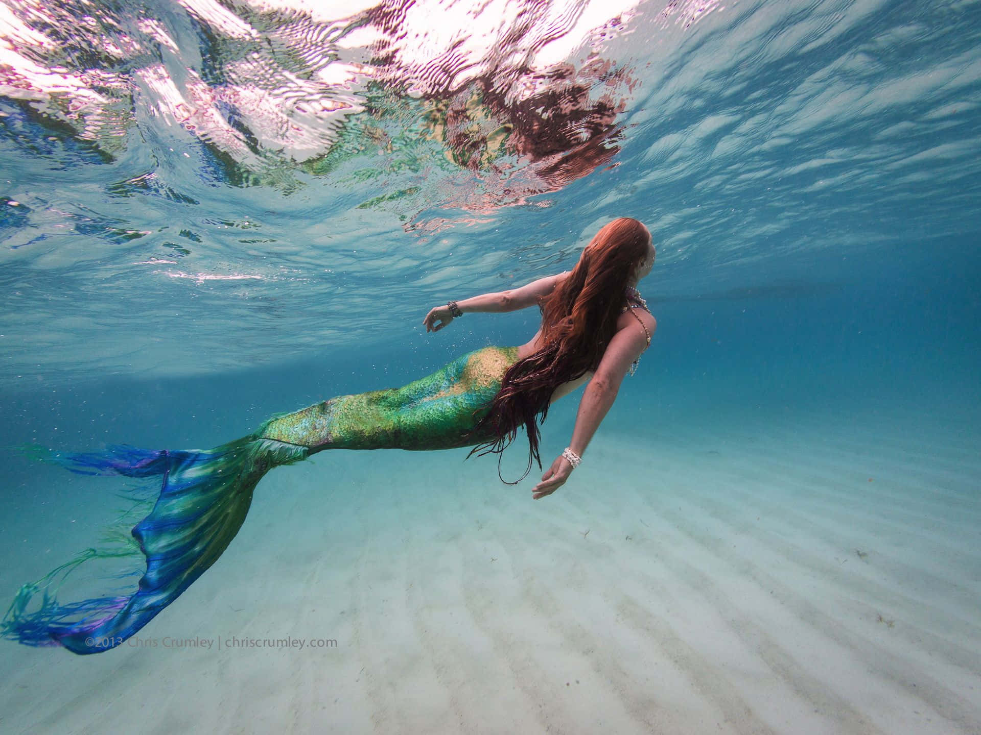 Mermaid of the Sea Wallpaper