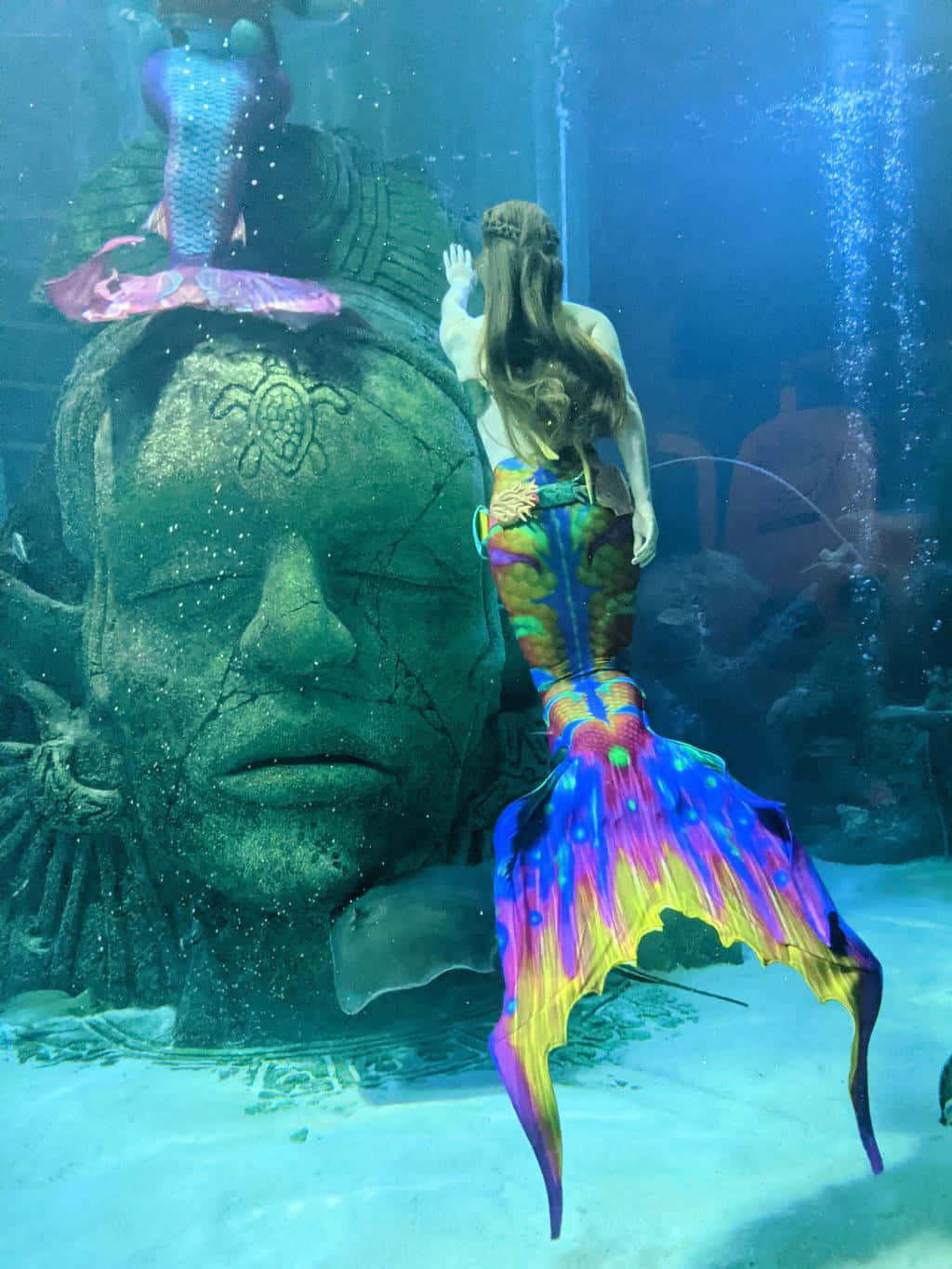 "Come marvel at the beauty of a real mermaid and lose yourself in a magical aquatic world."