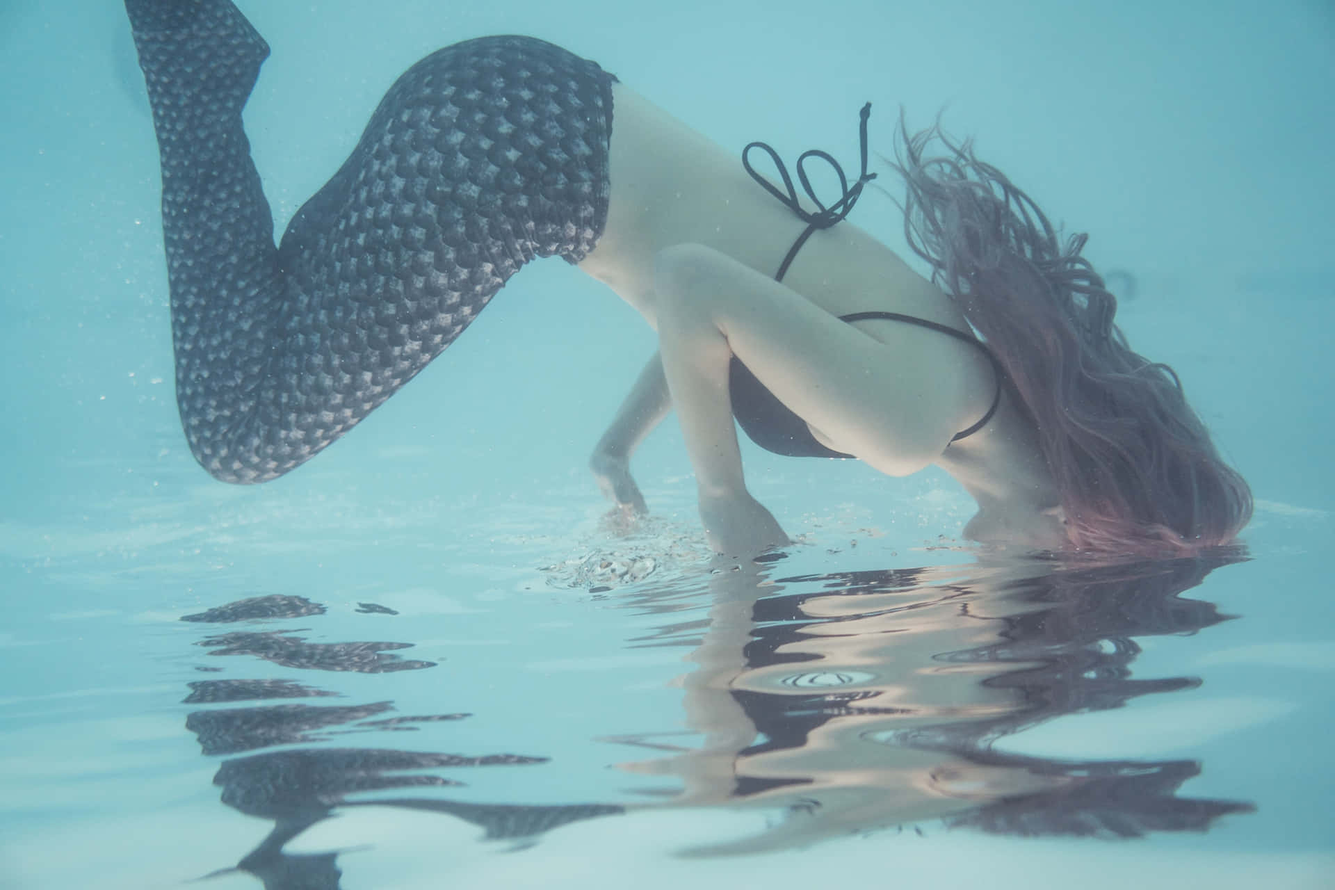 Discover the Magic of Mermaids Wallpaper