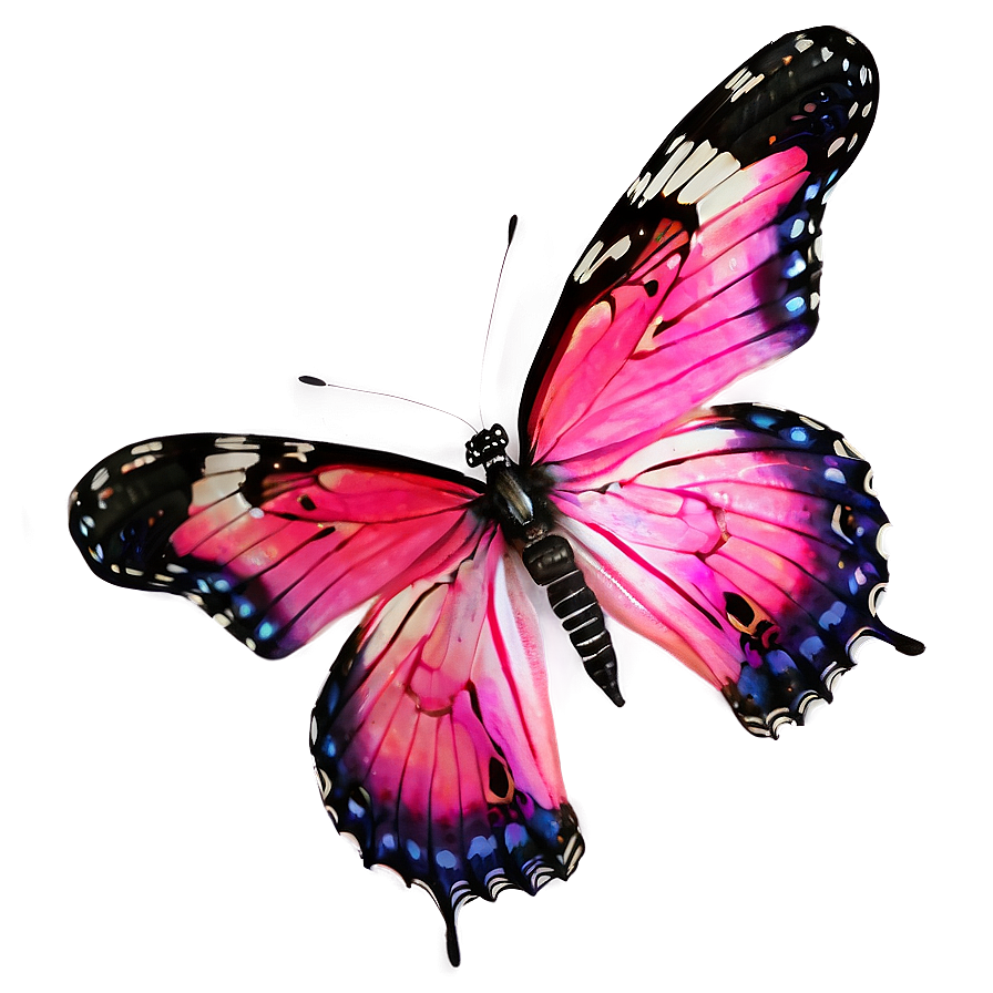 Real Pink Butterfly A PNG