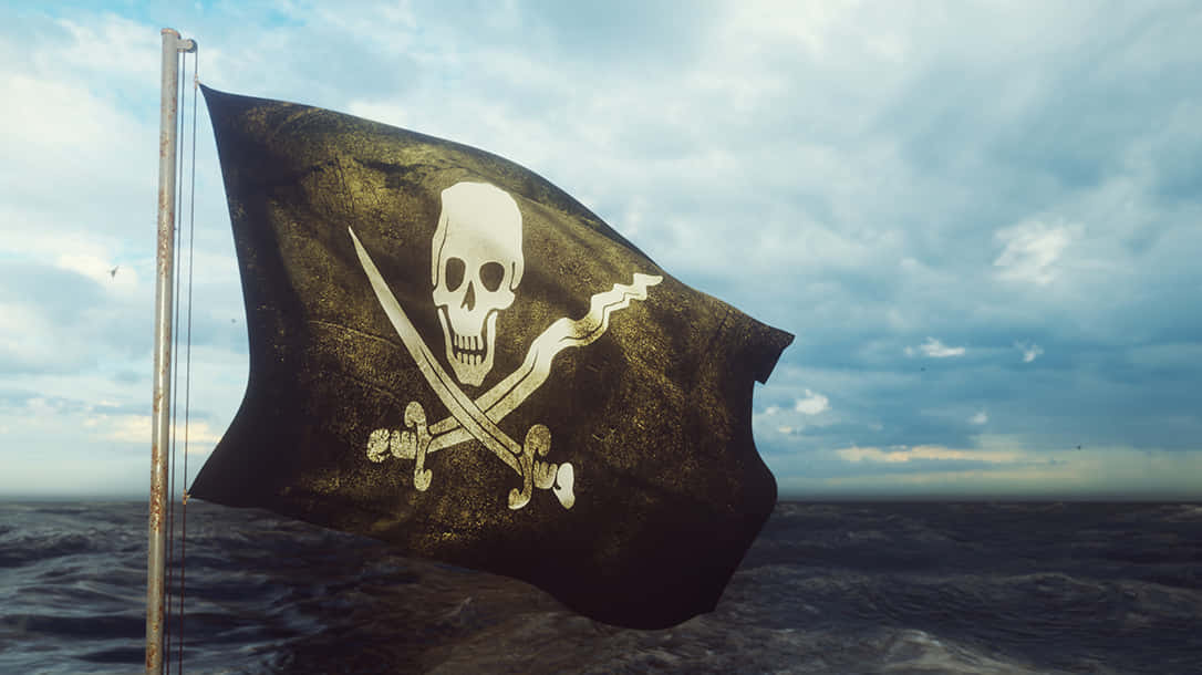 Real Pirate Ship Flag Picture