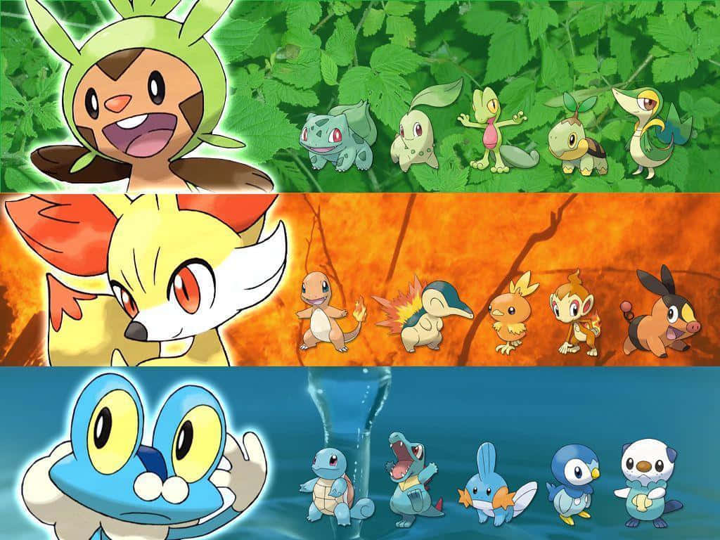 Download Explore the Wild and Evolve with the Pokemon Sword and Shield  Starters Wallpaper