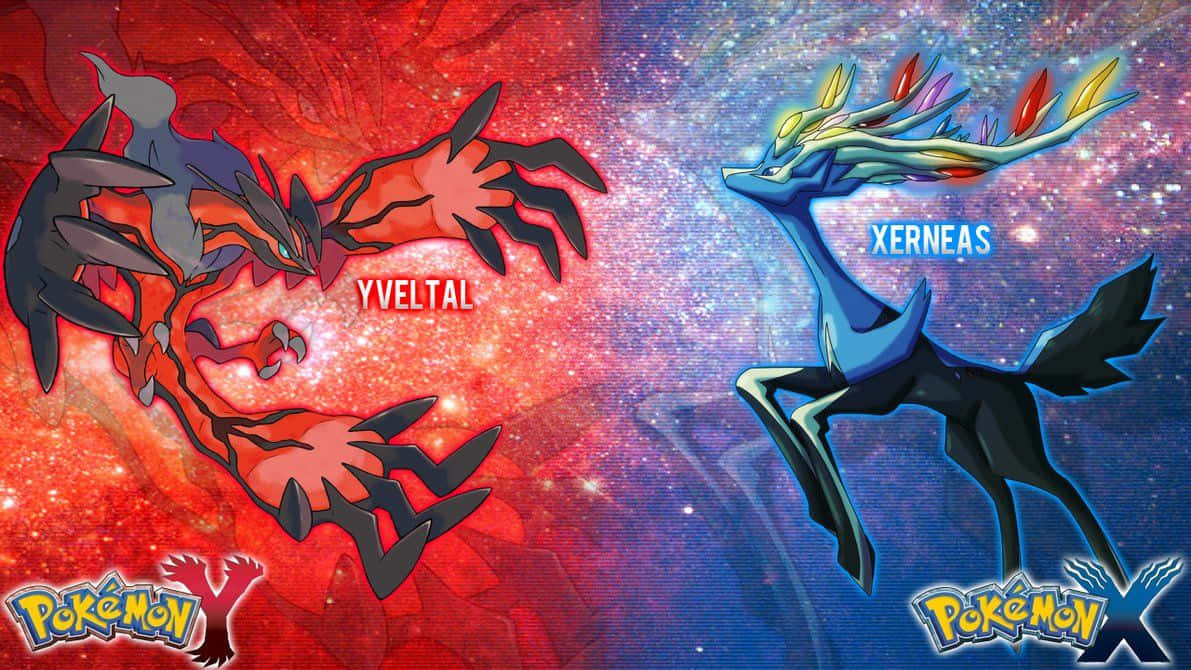 Pokemonx Vs Xy: Pokemon X Mot Xy Wallpaper