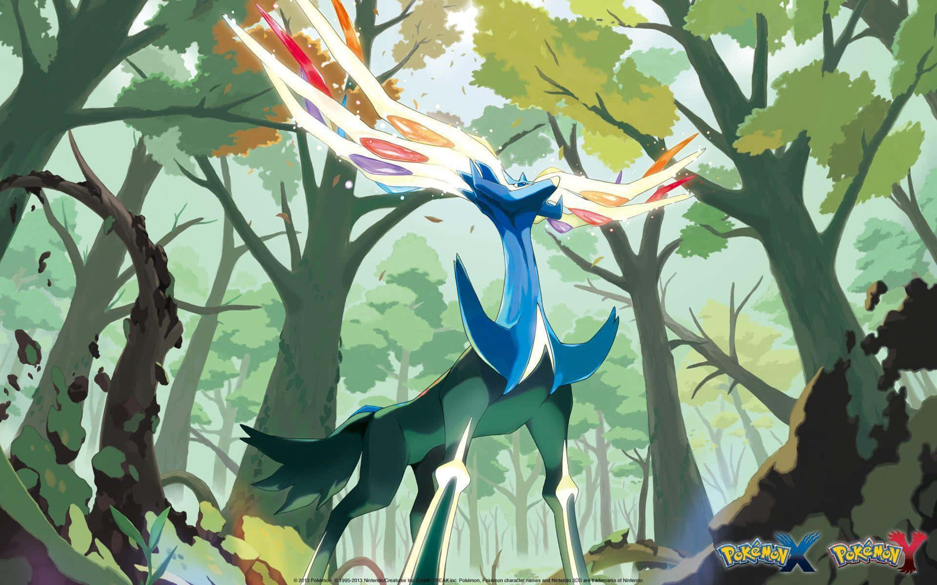 Enjoy the Realistic Design of Pokemon X and Y Series Wallpaper