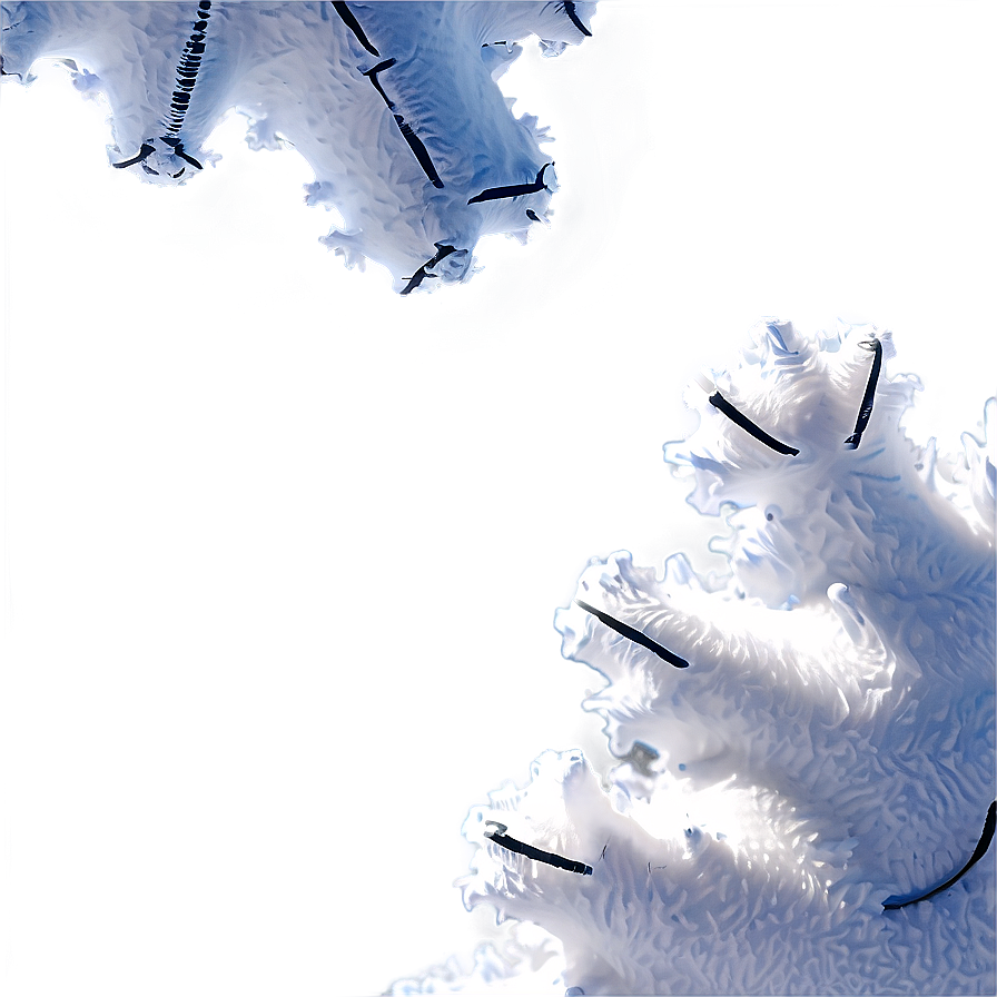 Real Snow Transparent Png Elg85 PNG