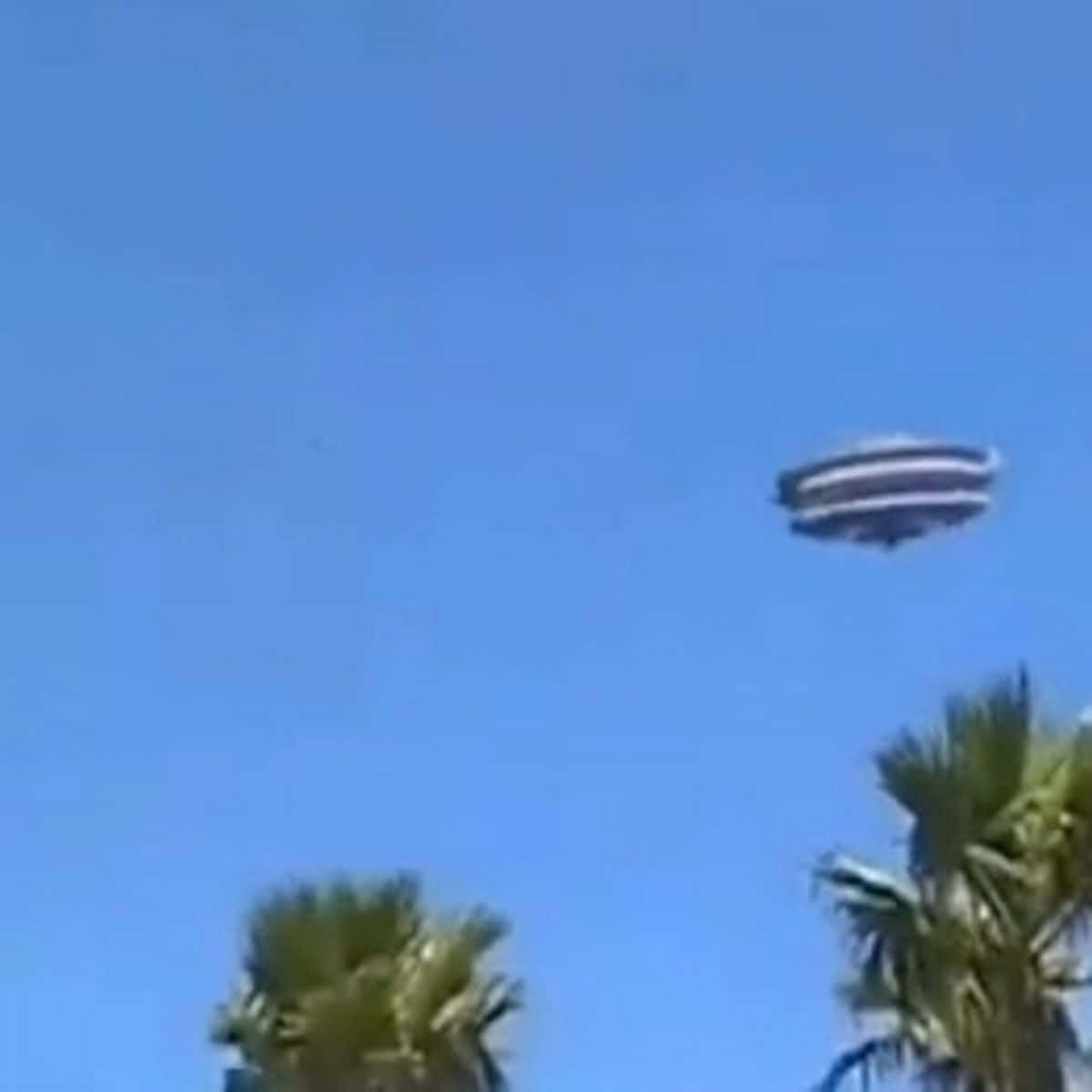 Real UFO Spaceship Above Palm Trees Picture