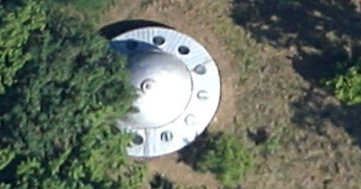 Real UFO Hiding Under Trees Picture