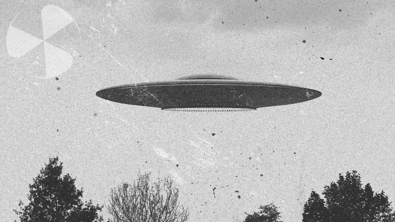 Real UFO Black And White Spaceship Above Trees Picture