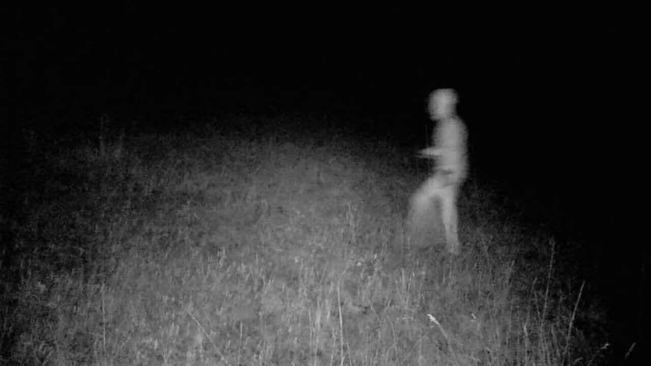 Unhombre Caminando Por El Campo Por La Noche