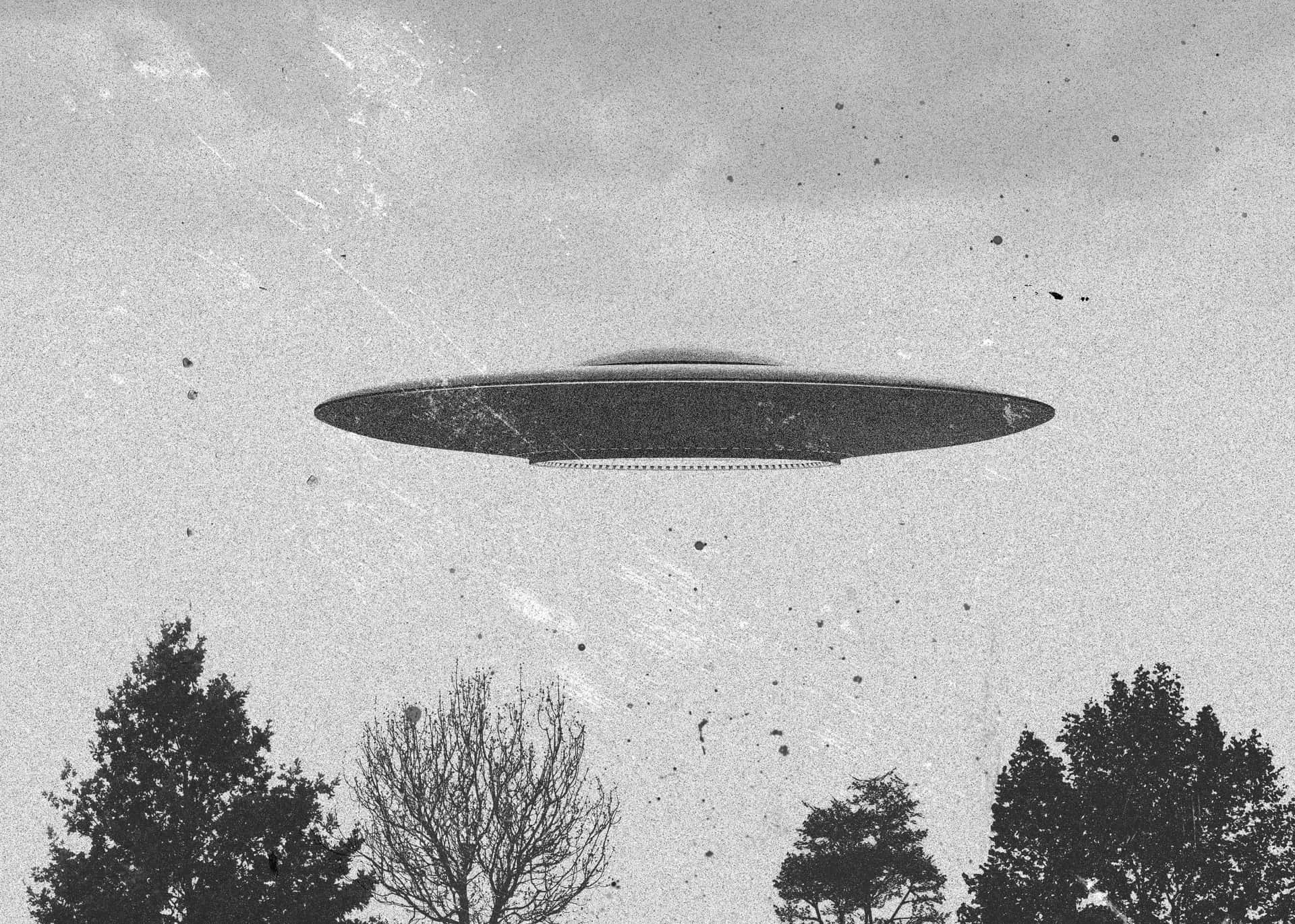 Real UFO Spaceship Above Trees Black And White Picture